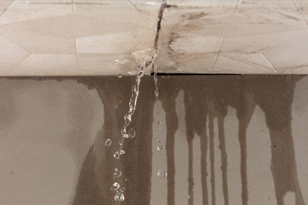 Professional Burst Pipe Cleanup technician working in Brighton, MA